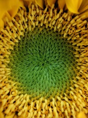 116619