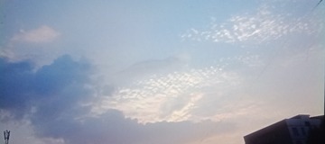 3688238