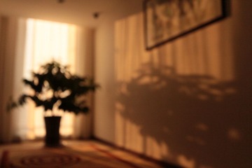 IMG_0695.JPG