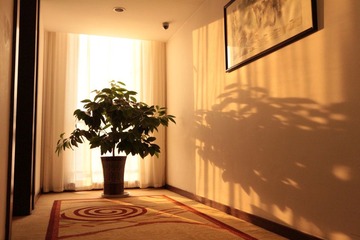 IMG_0702.JPG