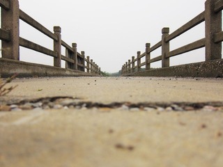 IMG_1579.jpg