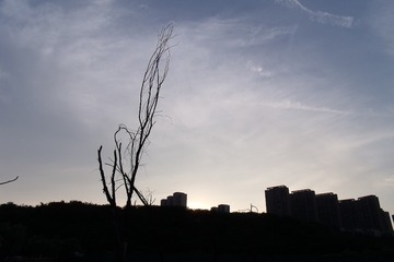 28050