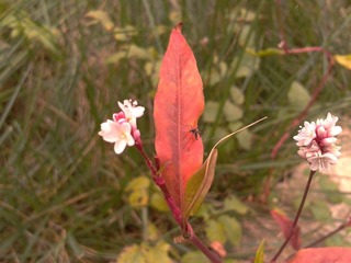 2012-10-25 12.19.59.jpg