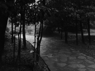 2012-10-26 13.20.09.jpg