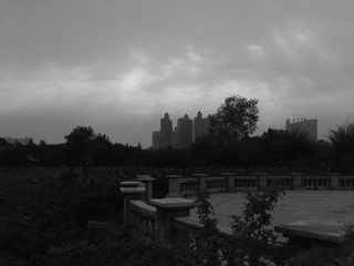 2012-11-07 14.44.43.jpg