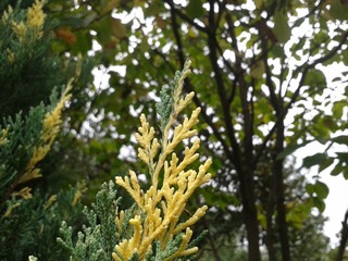 2012-11-07 15.15.50.jpg