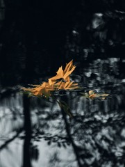 IMG_20241019_185938