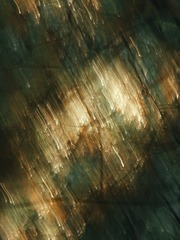 1000183110