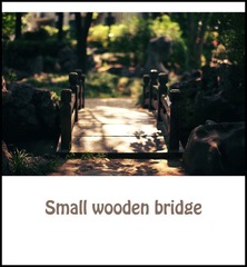 small wooden bridge