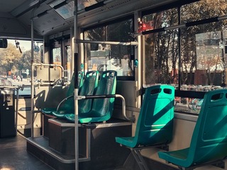 1000033256