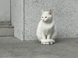 1000005303