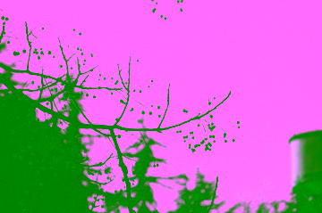 1000107640