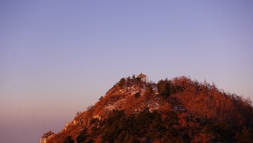 1000146740