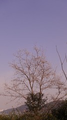 1000140962