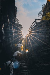 1000018860