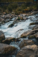 1000037311