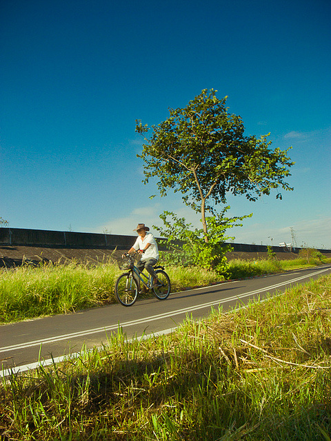 生活的每一处小风景
