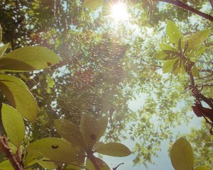 4741731354_49c9dda03e_z.jpg