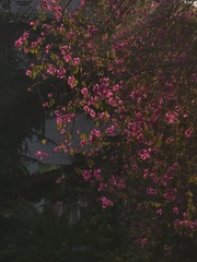 1000043546
