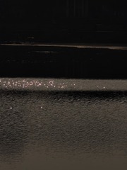 1000035877