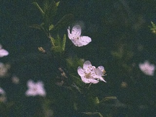 575718