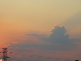 1000061894