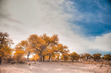 20141003-20141003-_DSC0293_4_tonemapped