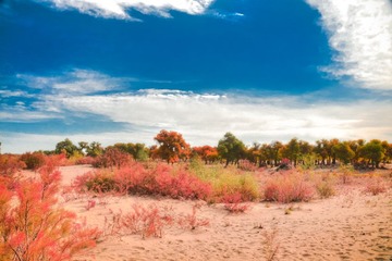 20141003-_DSC0218_19_20_tonemapped