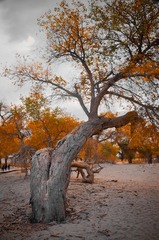 20141003-_DSC0227_8_9_tonemapped