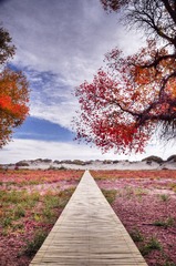 20141003-_DSC0305_6_7_tonemapped