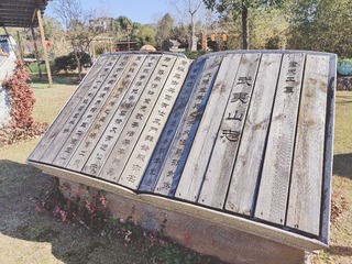 1000075868