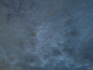 1000016490
