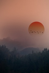 001