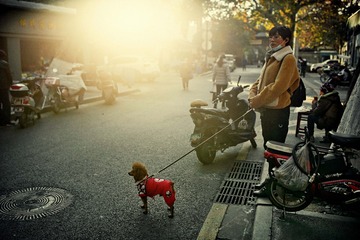 5-A woman with a litte dog