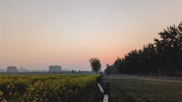 280661