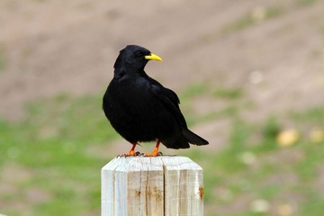 IMG_1665.jpg