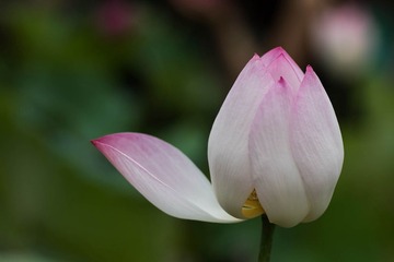 圆明园-14.jpg