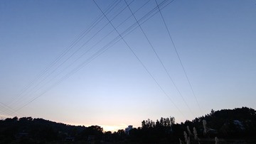 1000004485