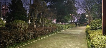 1000068425