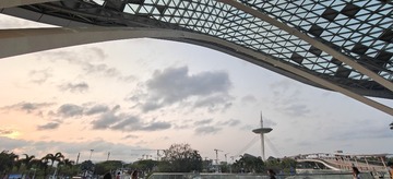 1000077253