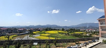 1000076121