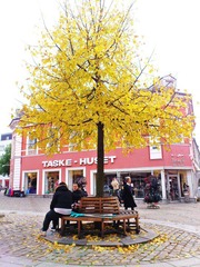 2011-10-28 004.jpg