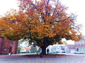 2011-10-27 017.jpg