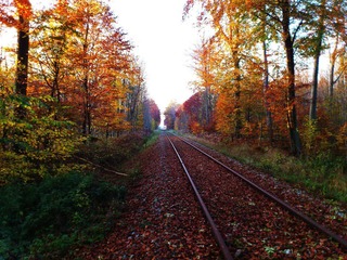 2011-11-01 035.jpg