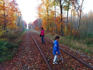 2011-11-01 036.jpg