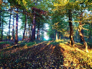2011-11-01 045.jpg