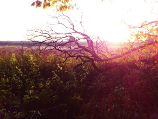 2011-11-01 047.jpg