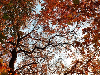 2011-11-01 057.jpg