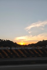 1000016915