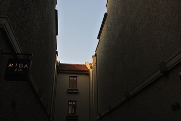 DSC_0567.JPG
